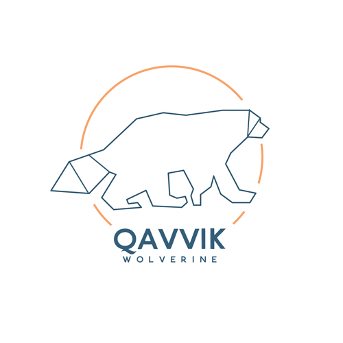 Qavvik