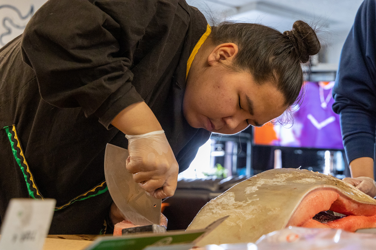 Students Cutting Beluga